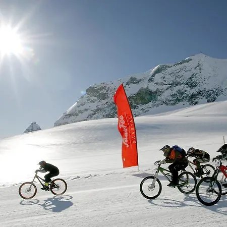 Apartment Bristolino Saas-Fee