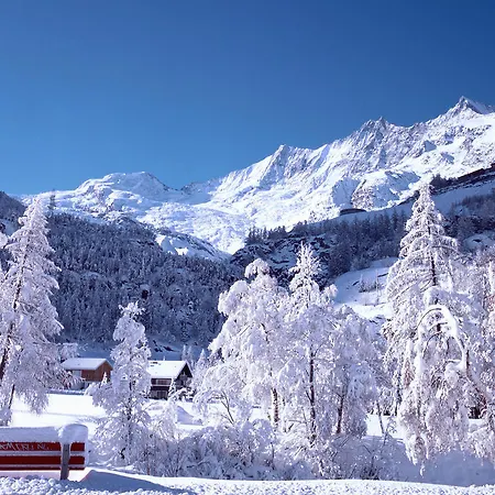 Bristolino Saas Fee